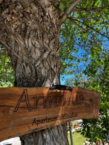 Armonia Studios
