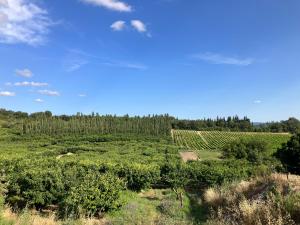 Maisons de vacances La maison des cerisiers : photos des chambres