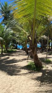 Confortável flat no centro de Porto