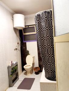 ( Apartment on the sea in Alexander (Montazah district