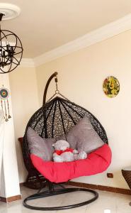 ( Apartment on the sea in Alexander (Montazah district