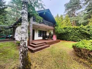 Kamińsko 544 - Stęszewko