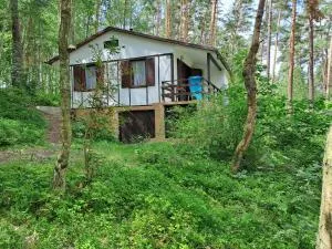 Chata Lucie - Jestřebí