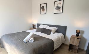 Appartements Cosy 152 proche aeroport -gare-groupama stadium-lyon : photos des chambres