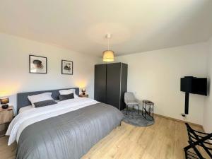 Cosy 152 proche aéroport -gare-groupama stadium-lyon