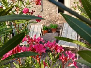 Agriturismo del Frontino - Lo Studio