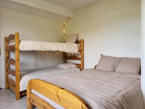 Maison pour 10 PARIS DISNEY FONTAINEBLEAU