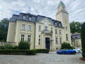 Pałac Borowa - Skarszyn