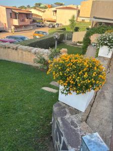 Pregevole trilocale Palau con giardino privato a 250 mt dalla spiaggia