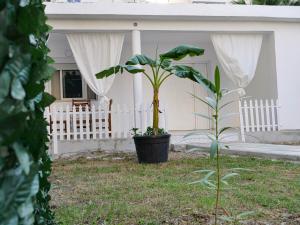 Brielles House