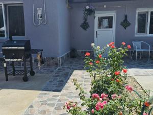 The Purple House-Villa in Bucharest