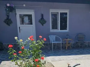 The Purple House-Villa in Bucharest - Bucureştii Noi