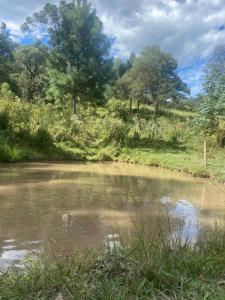 Sítio Completo, Lareira Família e Amigos! Perto do Centrinho
