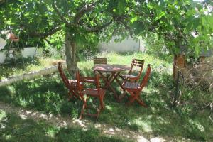 B&B / Chambres d'hotes Les Pucines T2 bas de villa : Appartement - Vue sur Jardin