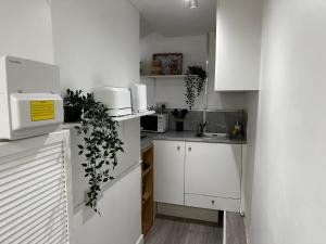 Plumstead one bed studio flat