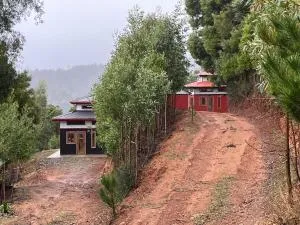 Cabañas japonesas en el bosque KURO y AKA - Curiñanco