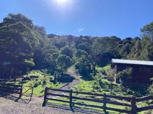 Curuba Lodge - Copey