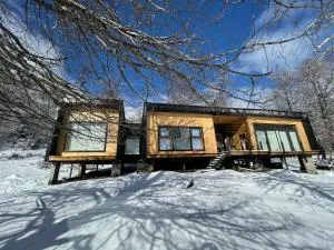 Casa ss Malalcahuello - Lonquimay