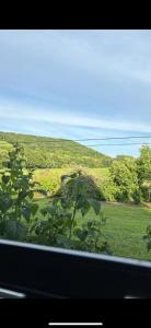 Logement route de vin