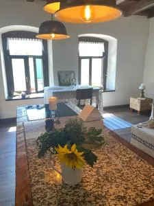 Apartmán Modrý dom 1 - 斯皮什斯凯波德赫拉杰