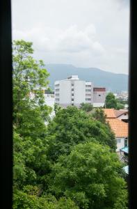 Blue dream hostel