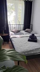 APARTAMENT FLOWERS - KIELCE