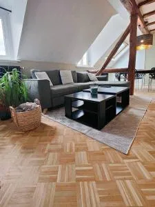 Appartement Le Baroque en duplex - 莫斯齐维勒·勒巴斯