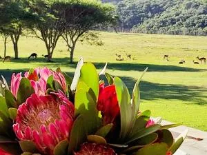 Hoekland Manor Stilbaai - Riethuiskraal