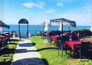 Tranquil Oceanfront Escape, One-Bedroom Haven