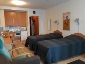 Ikaalisten kylpylä-hotelli - Riitiala