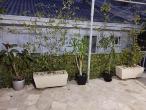 Milica Soba sa kupatilom 2