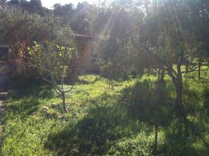 Holiday Home Marilu img26