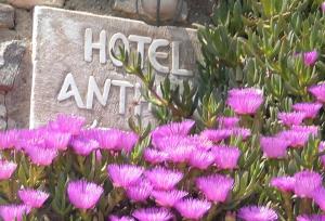 Anthippi Paros Greece