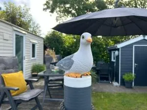 Natur pur M 3 natureingebunden, Familien- und hundefreundlich eingezäunt - 't Zand