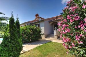Villa Boky Kaštelir 