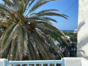 Ekaterini apartment in Aliki