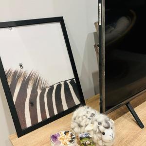 Cozy 1 Bedroom Apt Parkside Pool Gym Parking close CBD