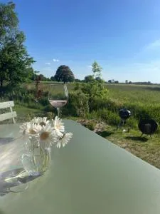 203-Tiny House an der Elbe - Heide