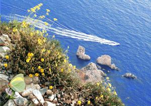 Conero Holiday Home - "Il Girasole"