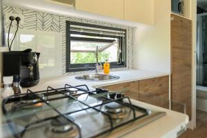 Estivo Premium Mobile homes on Holidaypark TerSpegelt