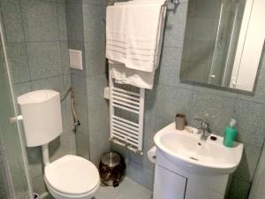 Camere De Inchiriat Carpati