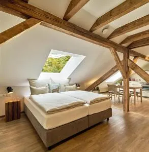 Die Alte Schmelz - Weidenthal