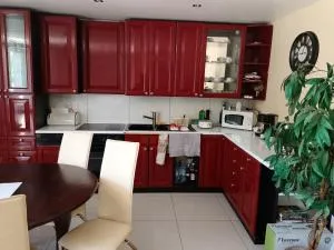 Dom nad rzeką - 格武希察