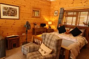 Badger's Wood at Hoo Farm - Newport