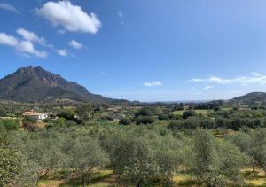 Artists Home Sarrala