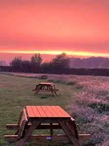 Erve Zonnehoeve Minicamping en Wijngaard - Linde