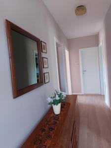 CHARMY LUNA holiday house with swimming pool