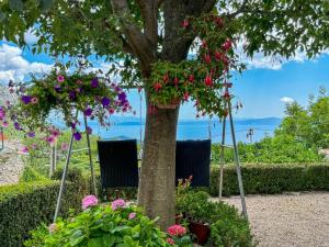 Apartments Bella Vista