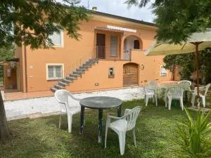 Antica Fattoria Borghesi - 科莱萨尔韦蒂