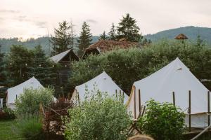 Valea Doftanei Glamping